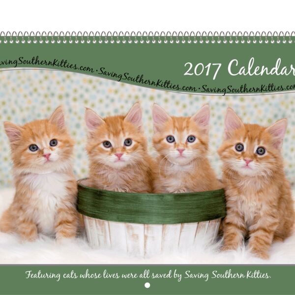 SSK-Calendar 2017 Thumbnail